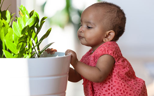 female-toddler-w-flowerpot_